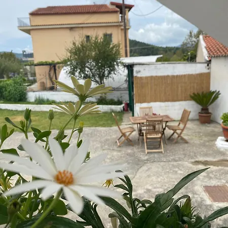 Apartmán Navy With Mountain View &private Parking *
